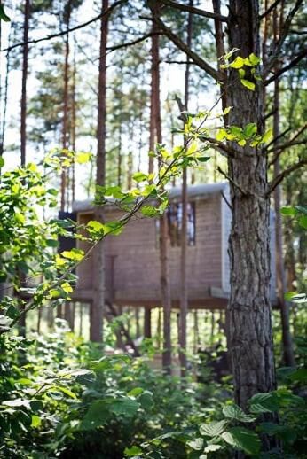 Лоджи Unique treehouse for two Orissaare-29