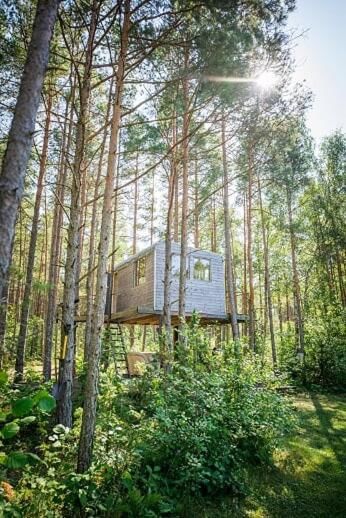 Лоджи Unique treehouse for two Orissaare-7