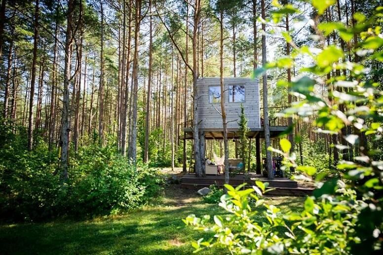 Лоджи Unique treehouse for two Orissaare-8